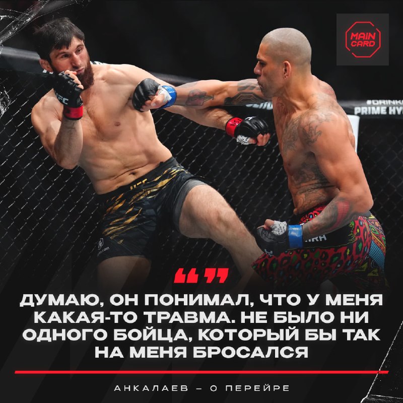 Фото поста канала Main Card