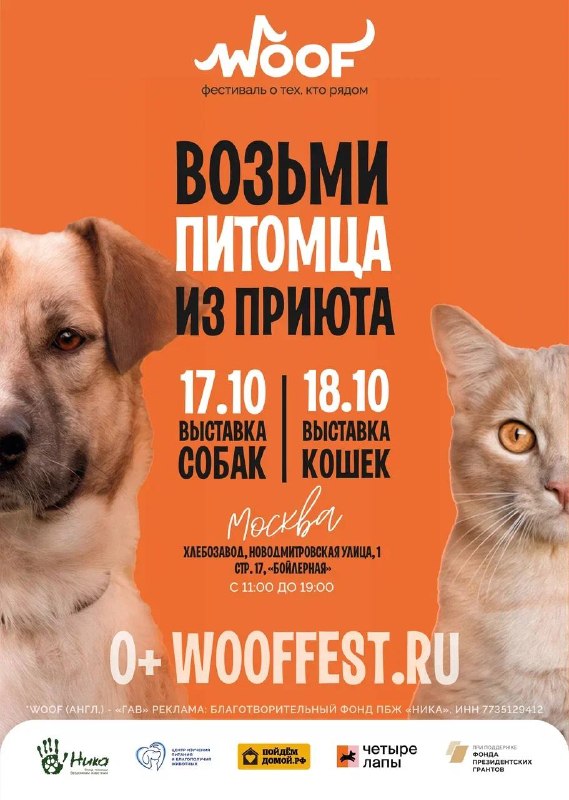 Фото поста канала Кристина Потупчик