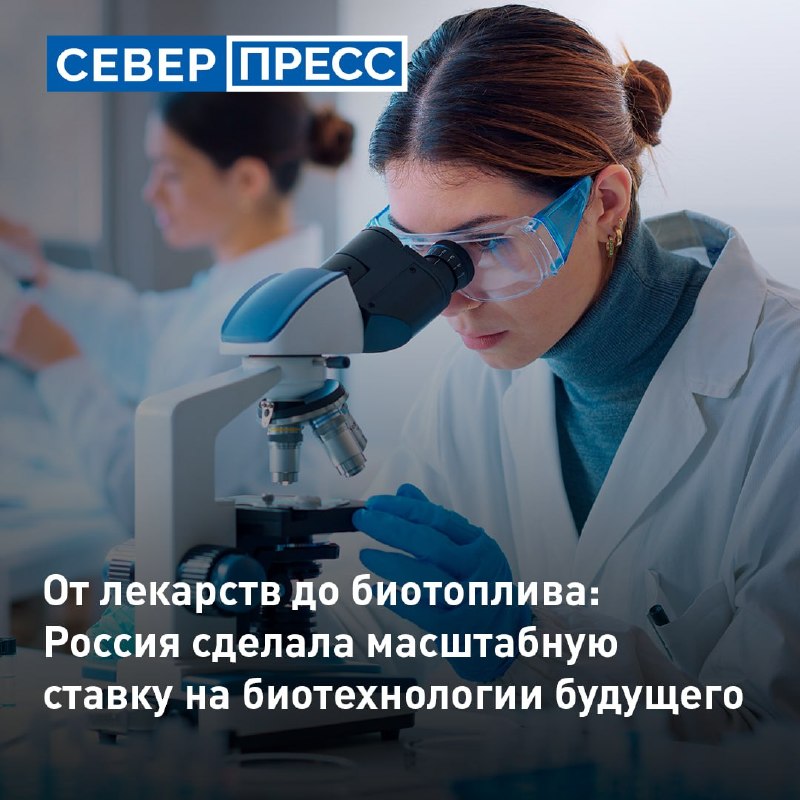 Фото поста канала  Мониторинг 89 Ямало-Ненецкий АО