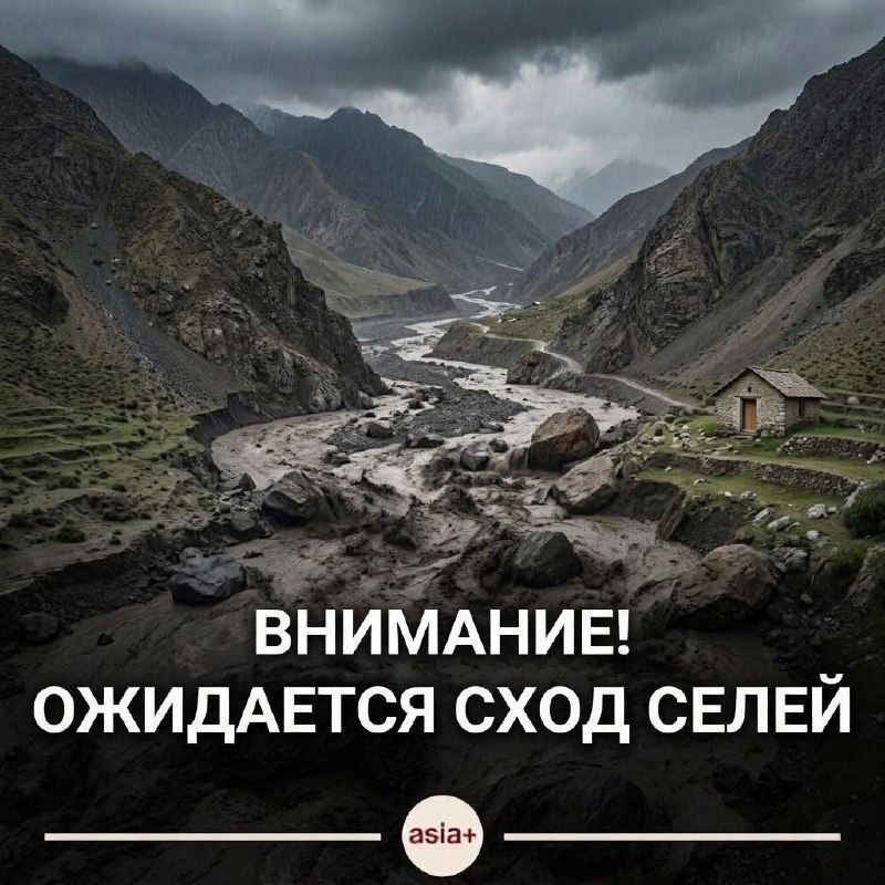 Фото поста канала  Азия-Плюс | Все новости Таджикистана и мира