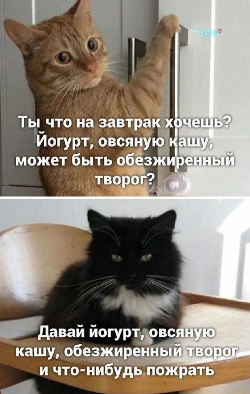 Фото поста канала  Ходють тут всякие!🍄