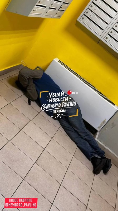 Фото поста канала  НОВОЕ ПАВЛИНО