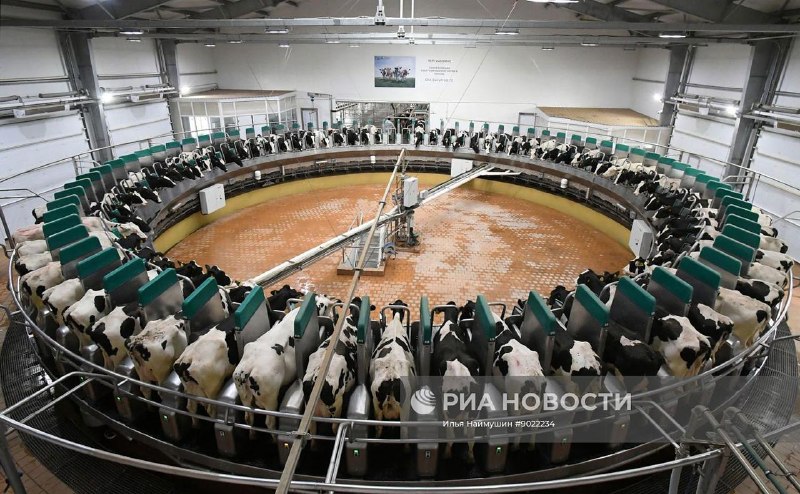 Фото поста канала  RSS лента РБК