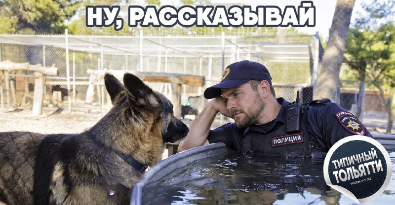 Фото поста канала  Типичный Тольятти | Новости