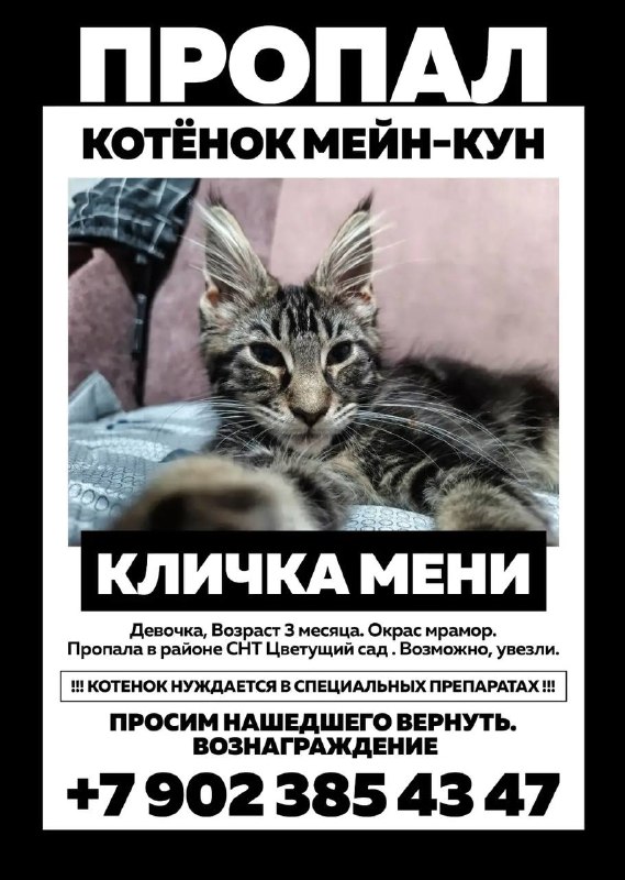 Фото поста канала  Блокнот Волжский