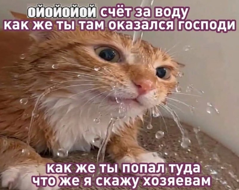 Фото поста канала  Лентач