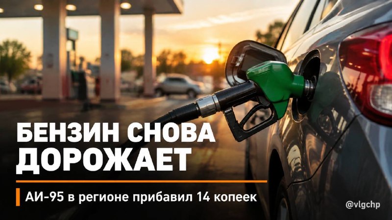 Фото поста канала  Волгоград
