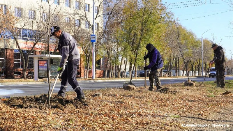Фото поста канала Новости Оренбурга и Области