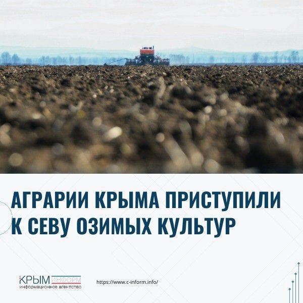 Фото поста канала  Мониторинг 91 Республика Крым