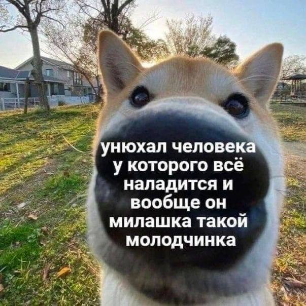 Фото поста канала Питер сейчас