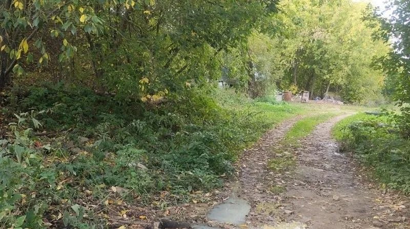 Фото поста канала  Бронницы Online