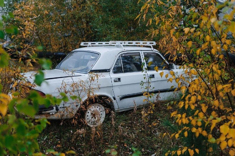 Фото поста канала  Мониторинг 89 Ямало-Ненецкий АО