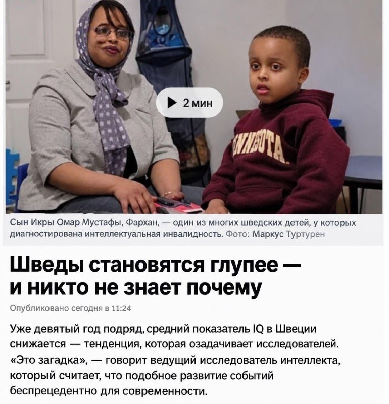 Фото поста канала  В порядке бреда 🧨