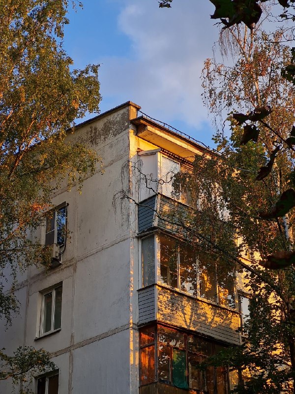 Фото поста канала  Типичный Воронеж
