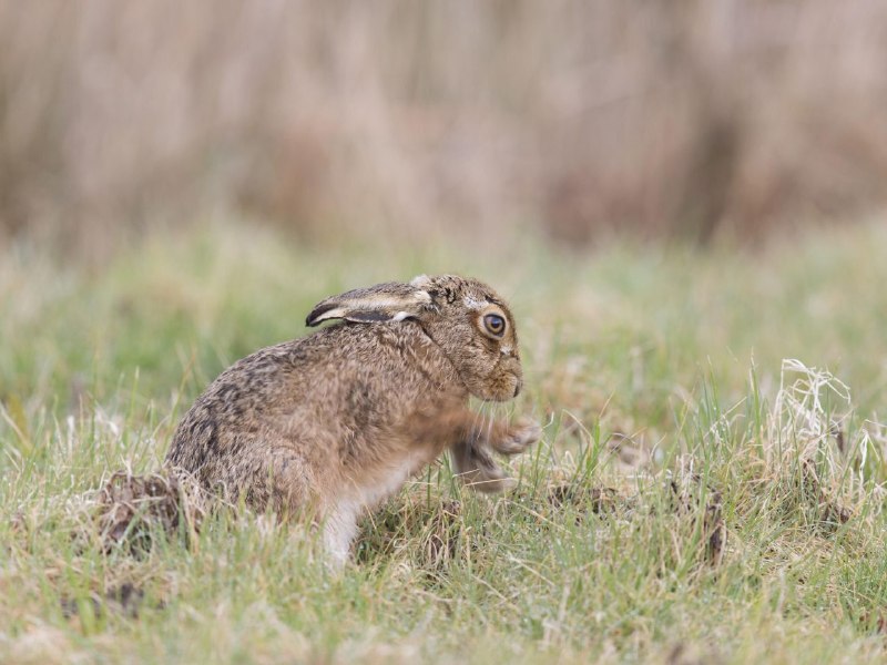 Фото поста канала  Подслушано Кантемировка😏