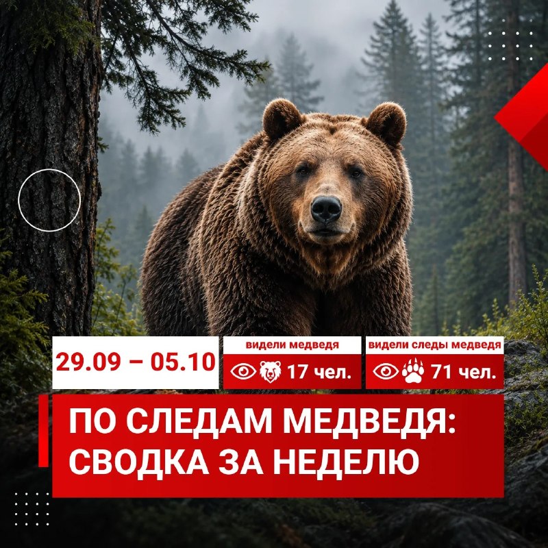 Фото поста канала  ТВК