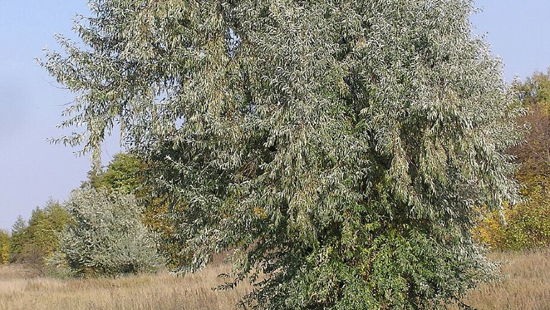 Фото поста канала  Херсонское Агентство Новостей