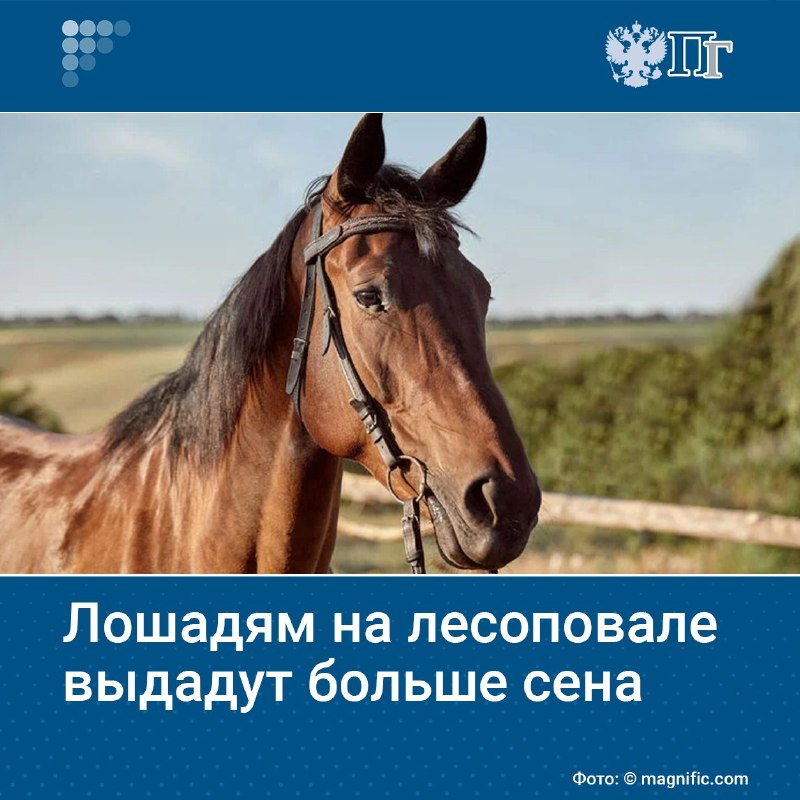 Фото поста канала  Мониторинг 63 Самарская область