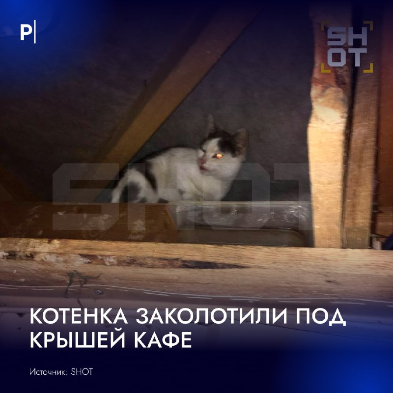 Фото поста канала  PostNews
