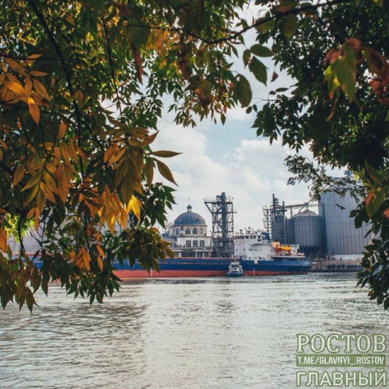 Фото поста канала  Ростов Главный новости
