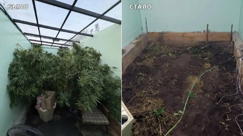 Фото поста канала  Жесть Воронеж