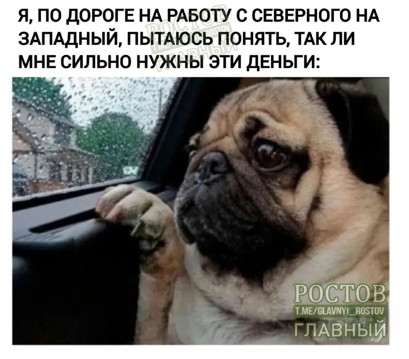 Фото поста канала  Ростов Главный новости