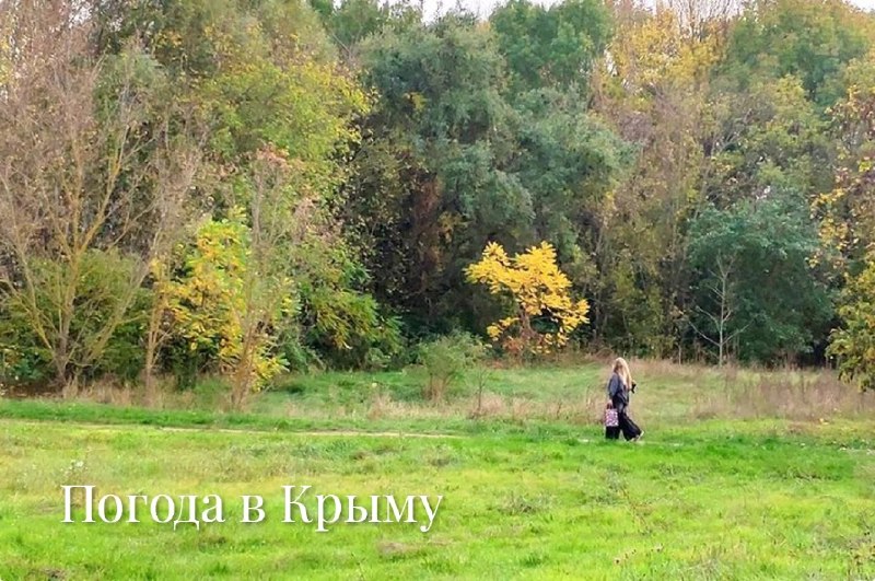 Фото поста канала  Лента новостей Крыма Z Новости Крыма