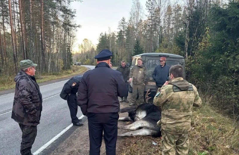 Фото поста канала ЧП НТВ