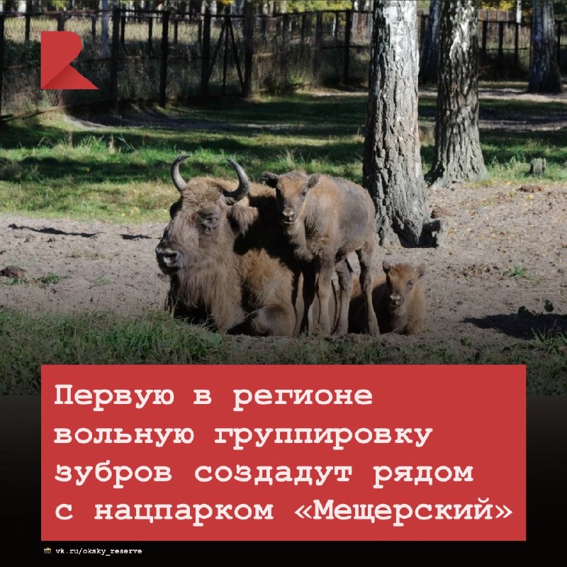 Фото поста канала RZN LIFE | ЖИЗНЬ РЯЗАНИ | РЯЗАНЬ
