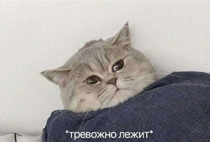 Фото поста канала натуральный маркетинг