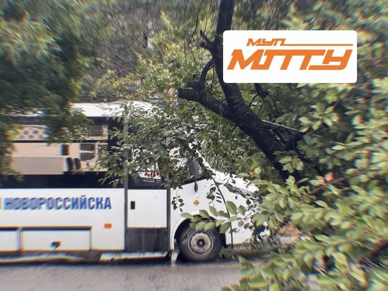 Фото поста канала  ЧП Новороссийск