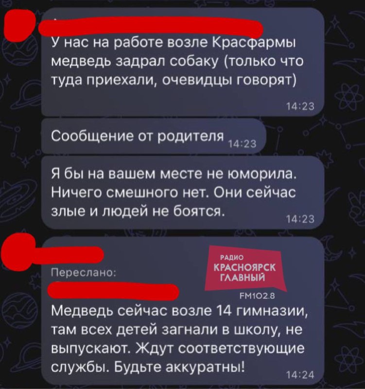 Фото поста канала  Мониторинг 24 Красноярский край