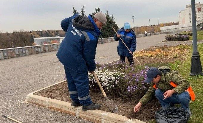 Фото поста канала  Живой Зеленоград