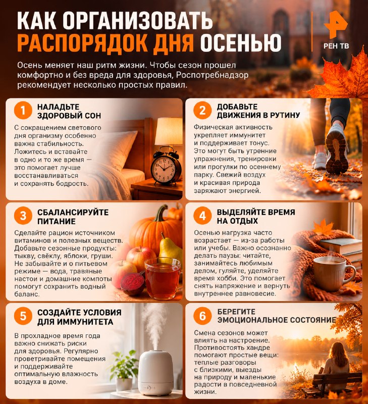 Фото поста канала  РЕН ТВ|Новости