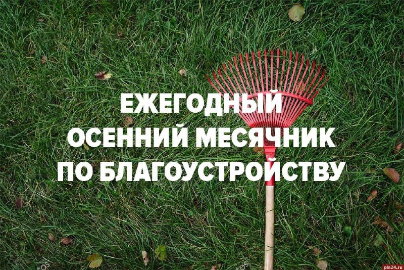 Фото поста канала  Псковская Лента Новостей