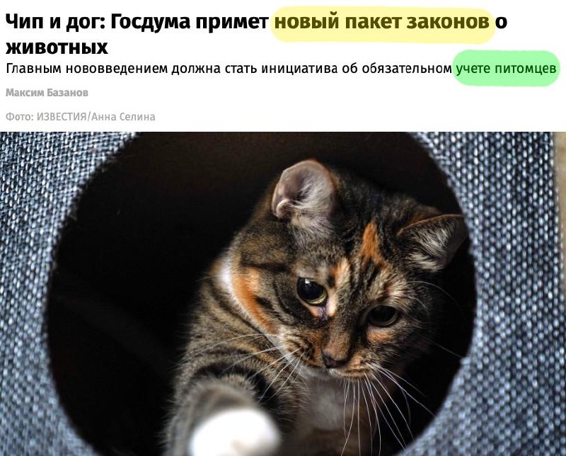 Фото поста канала  В карбюраторе конденсат 🇷🇺
