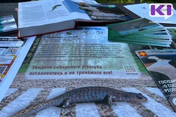 Фото поста канала  Комиинформ