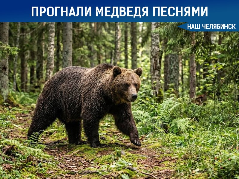 Фото поста канала  Наш Челябинск