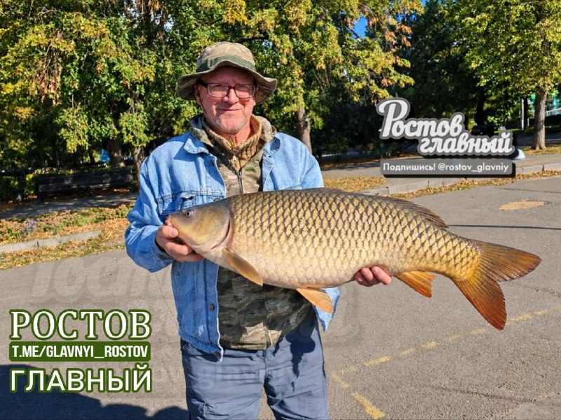 Фото поста канала  Ростов Главный новости