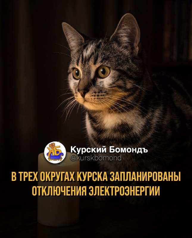 Фото поста канала  КУРСКИЙ БОМОНДЪ