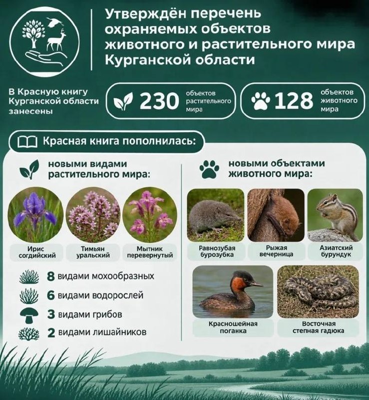 Фото поста канала  Мониторинг 66 Свердловская область