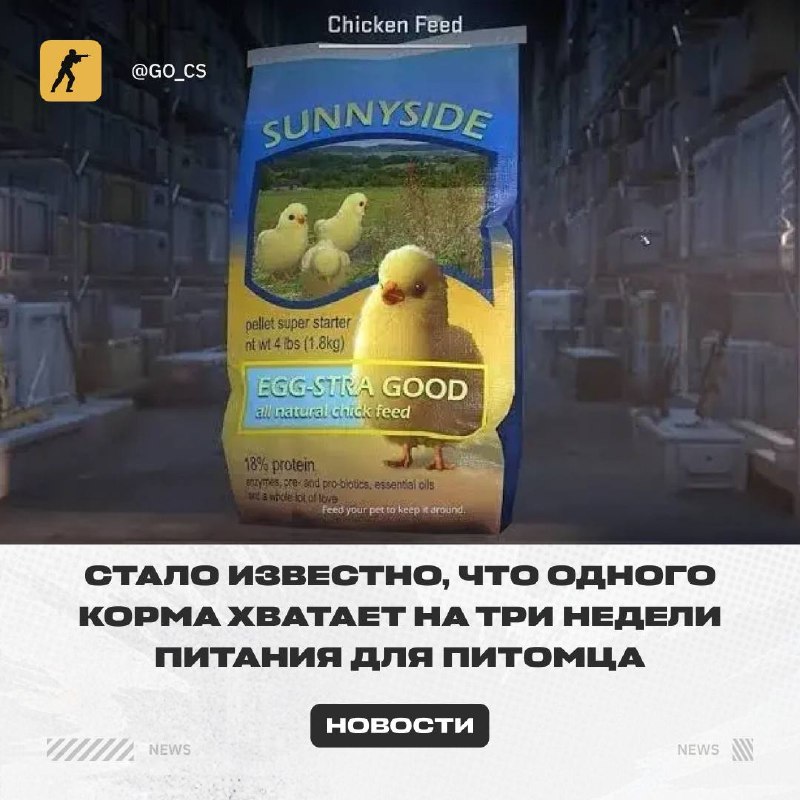 Фото поста канала Counter-Strike 2