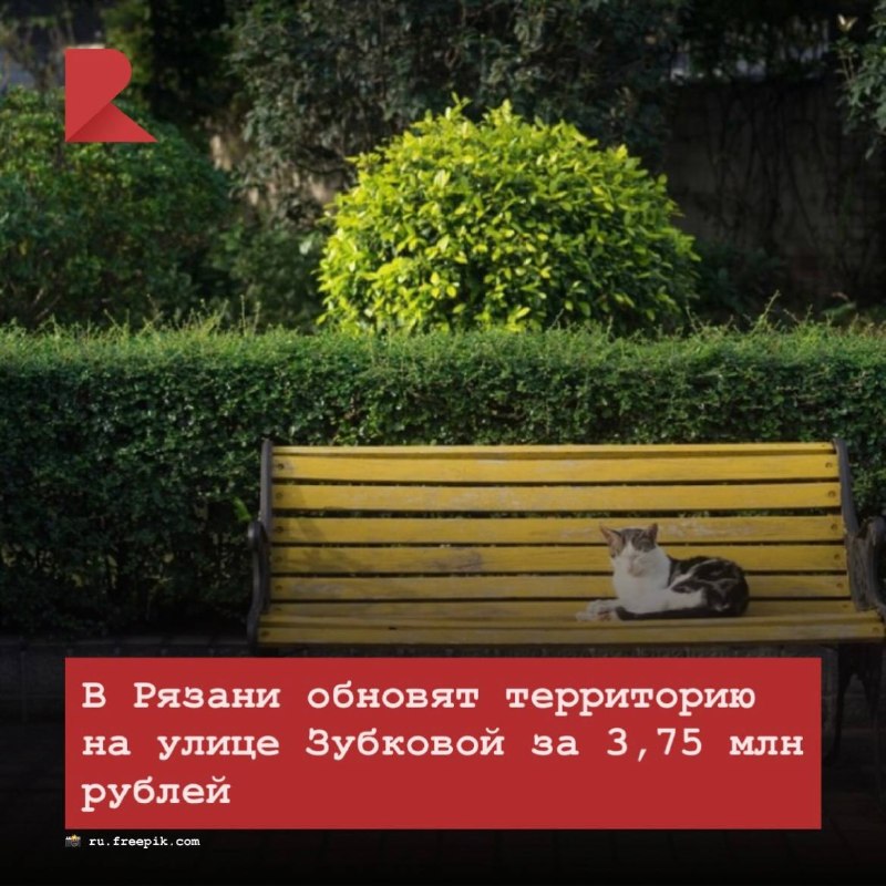Фото поста канала RZN LIFE | ЖИЗНЬ РЯЗАНИ | РЯЗАНЬ