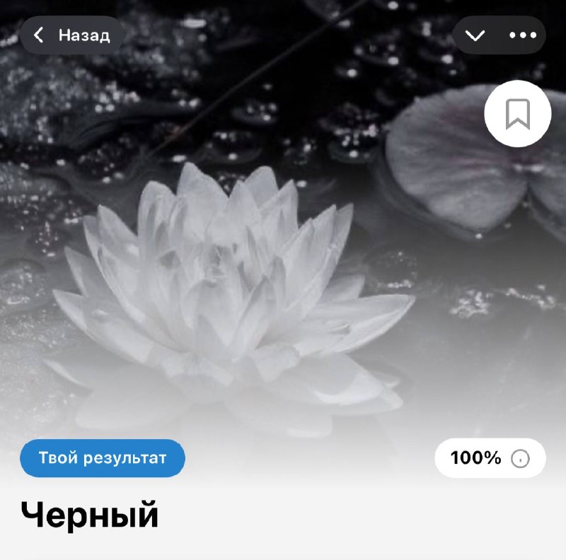 Фото поста канала Тесты и точка.
