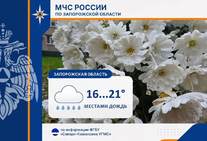 Фото поста канала  Администрация Васильевского муниципального округа