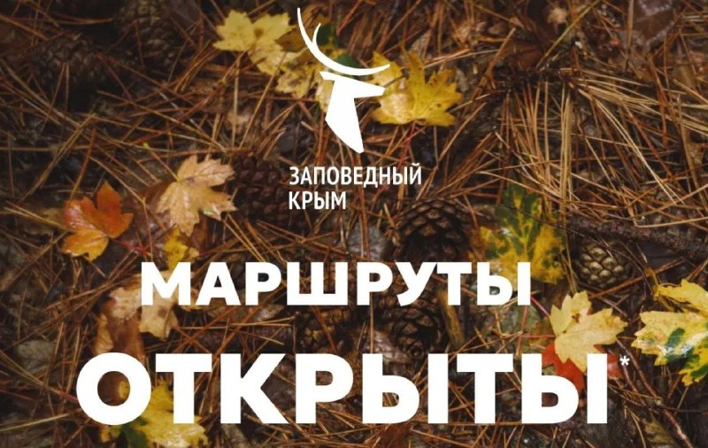 Фото поста канала  КРЫМ НОВОСТИ🇷🇺