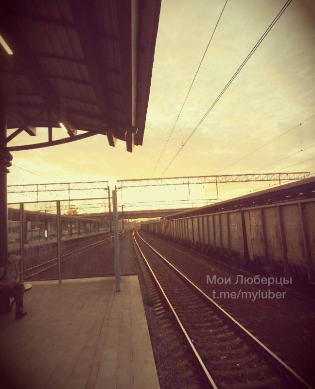 Фото поста канала Мои Люберцы ®️