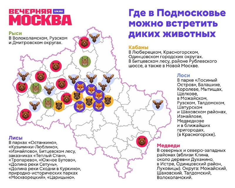 Фото поста канала  Вечерняя Москва
