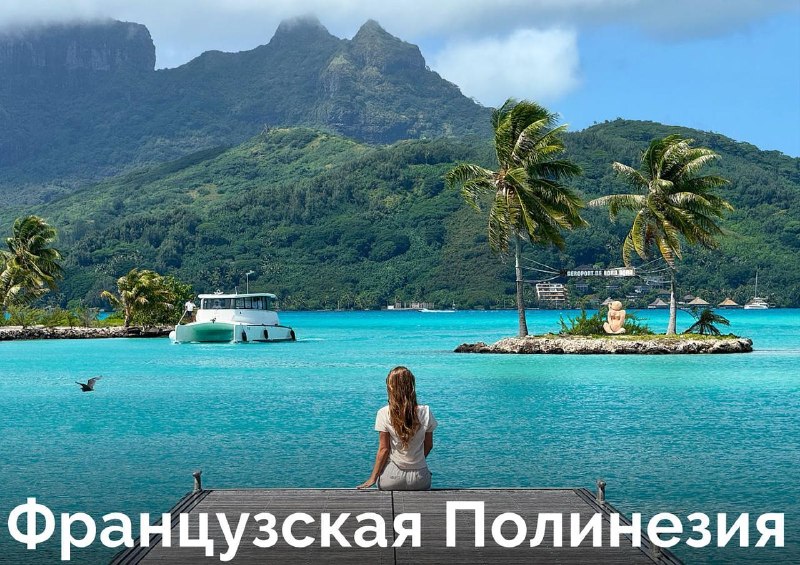 Фото поста канала Самокатус