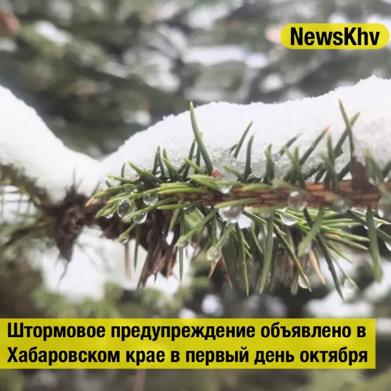 Фото поста канала  NewsKhv
